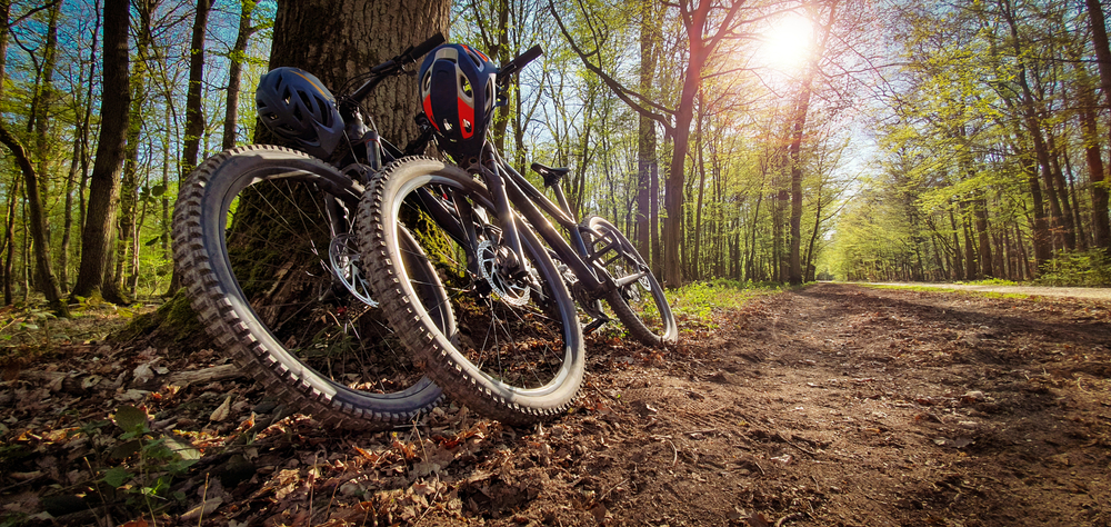 Glentress store mountain biking